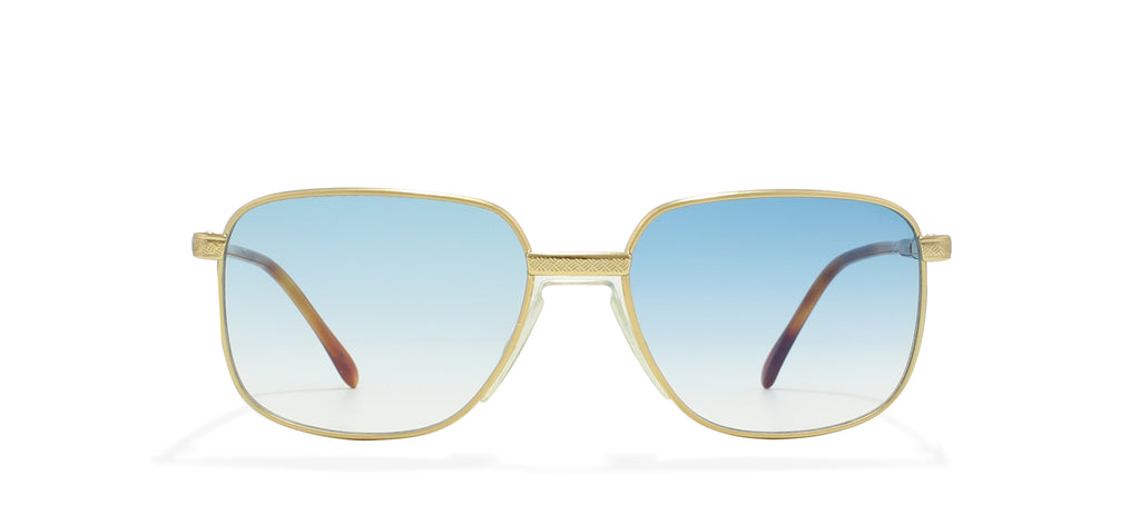 Vintage,Vintage Sunglasses,Vintage Pierre Cardin Sunglasses,Pierre Cardin 6007 12G,